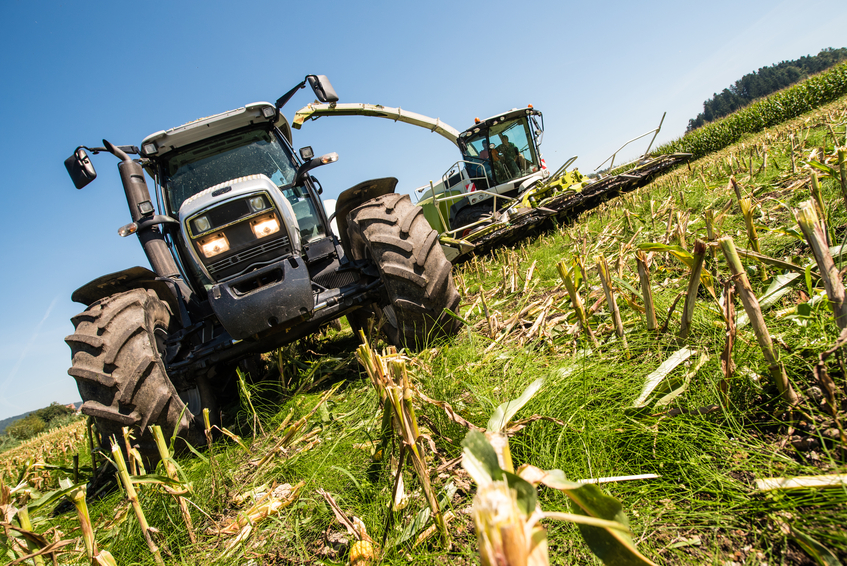 Agriculture